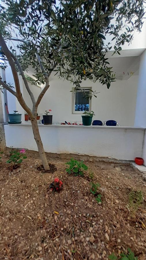 Apartment Slavica *